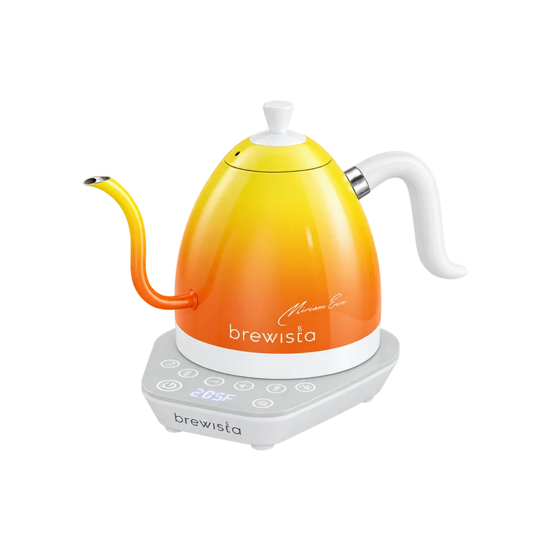 BREWISTA GOOSENECK KETTLE